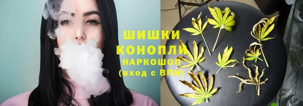 spice Аркадак