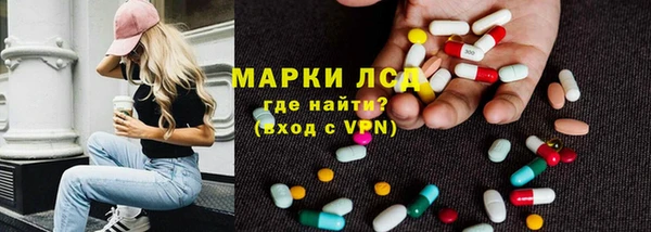 spice Аркадак