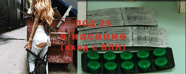 spice Аркадак