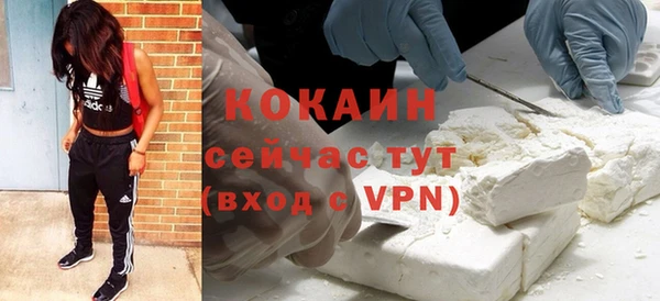 spice Аркадак